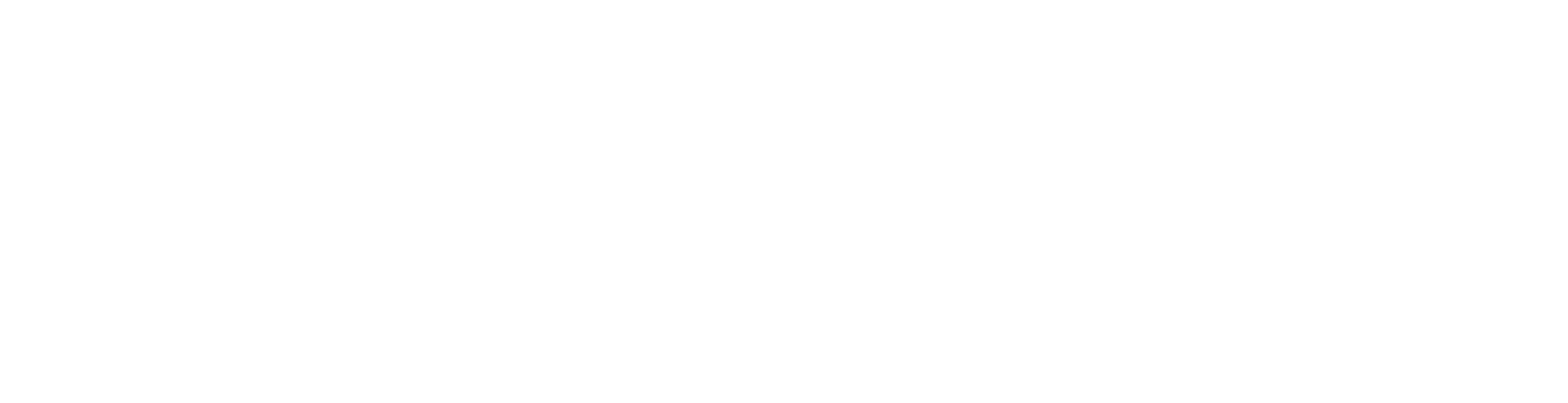 PCNZ-Logo-White